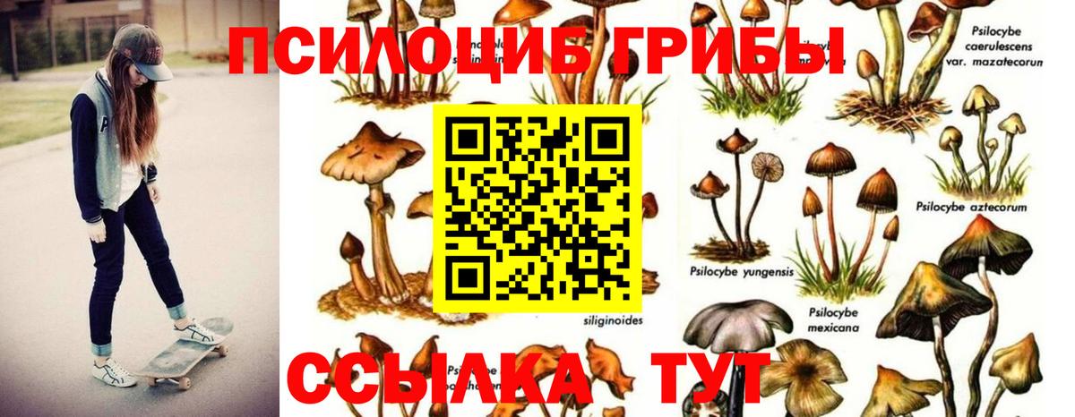 Псилоцибиновые грибы мухоморы  Галлюциногенные грибы прущие грибы  Валуйки  Вход с VPN 